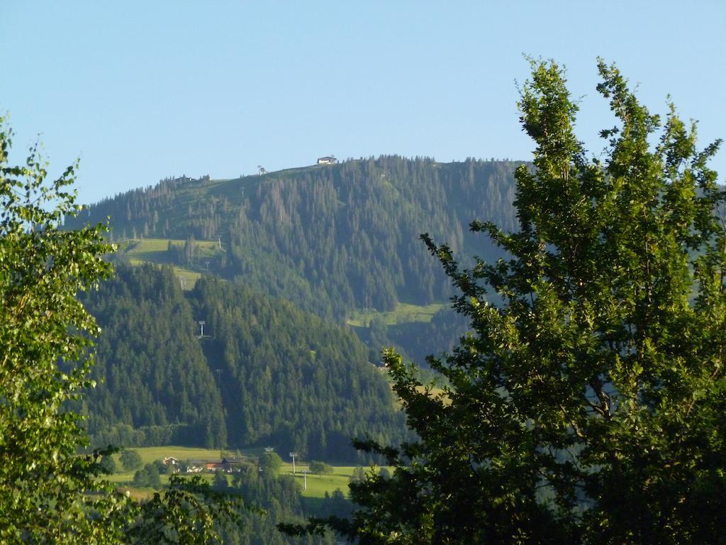 Ferienwohnung Bergfrieden Scheffau am Wilden Kaiser Exterior foto